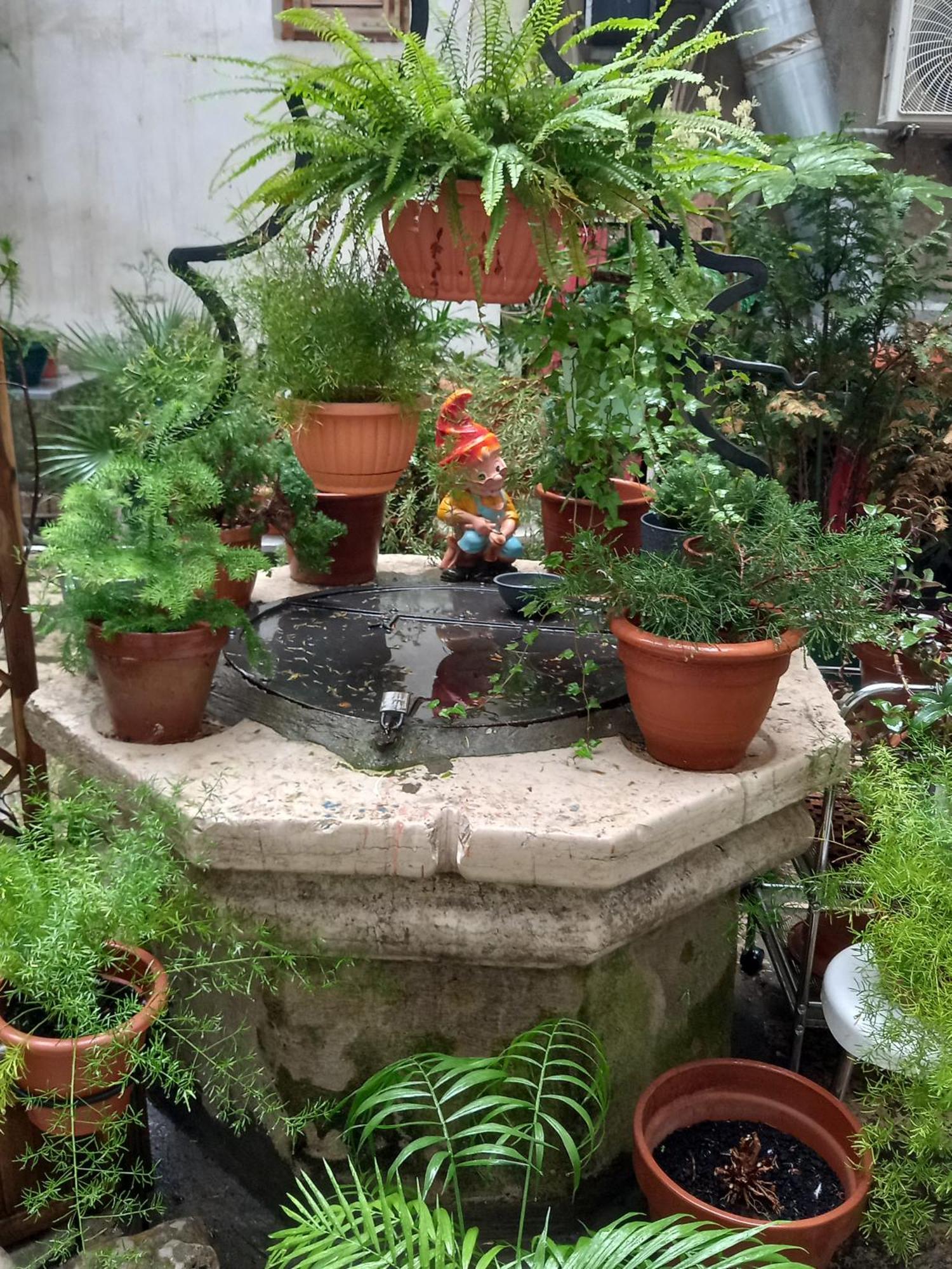 Bunari Studio Apartment Ρόβινι Εξωτερικό φωτογραφία